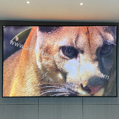 320mmx160mm ইনডোর বিজ্ঞাপন LED স্ক্রিন লোহা/ডাই-কাস্টিং অ্যালুমিনিয়াম মন্ত্রিসভা উপাদান